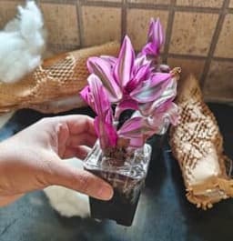 Photo from Sayanti Sikder's review