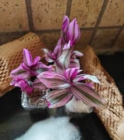 Photo from Sayanti Sikder's review