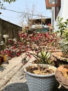 Photo from Sangeeta Bora's review